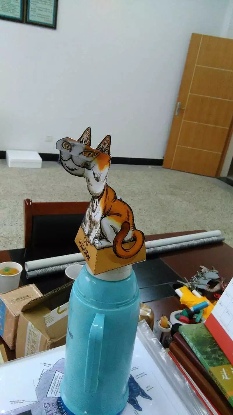 视幻觉3D纸模眼见不一定为实大脑判断出错魔鬼附身见鬼了眼睛的错觉中小学生综合实践活动大陈镇中王大可淘