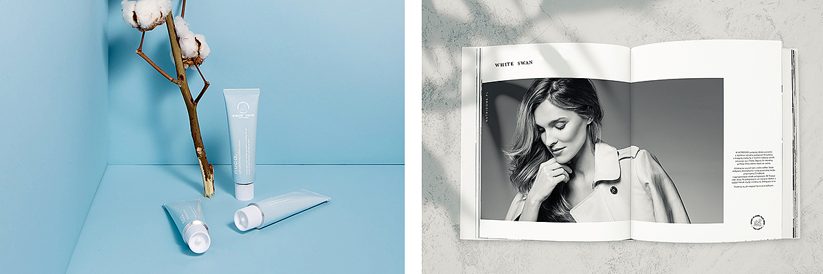 WHITE SWAN — 品牌全案设计(贰贰)