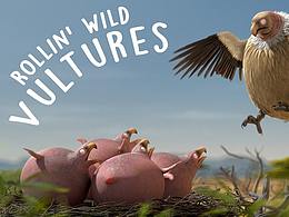 &#39;Vulture&#39; - what if animals were round?