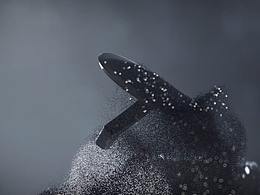 2020产品动态特效混剪