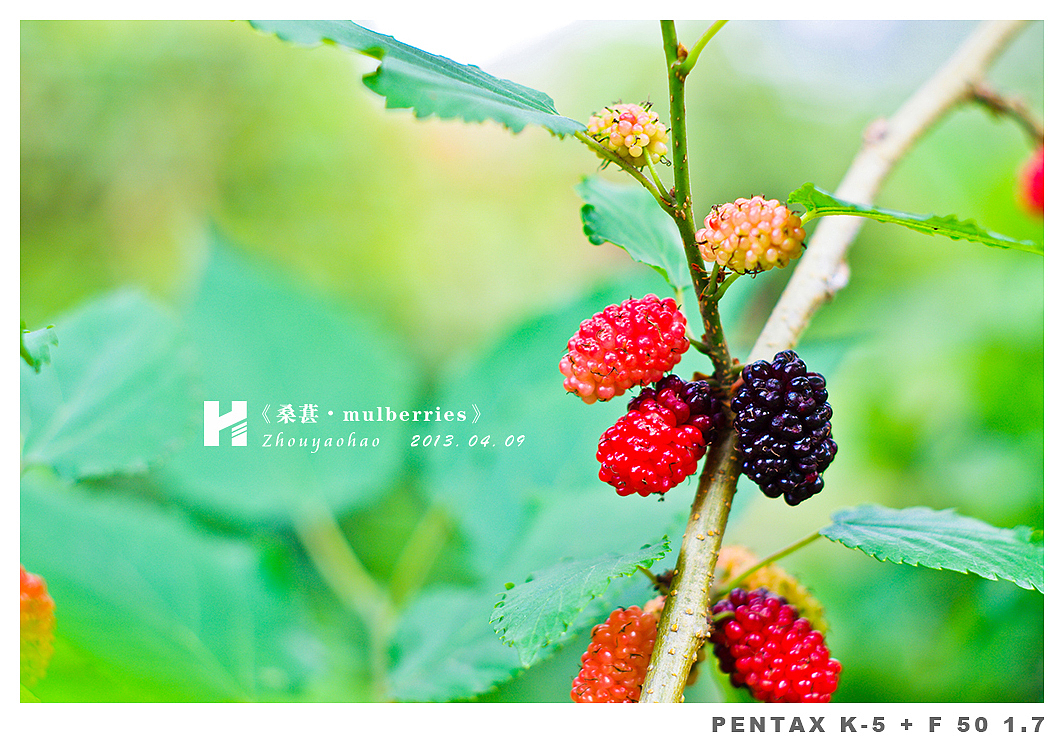 《桑葚.mulberries》（图ZODk2MDM4NA==） - 产品摄影 - 站酷设计师haodychou原创素材 - 站酷ZCOOL