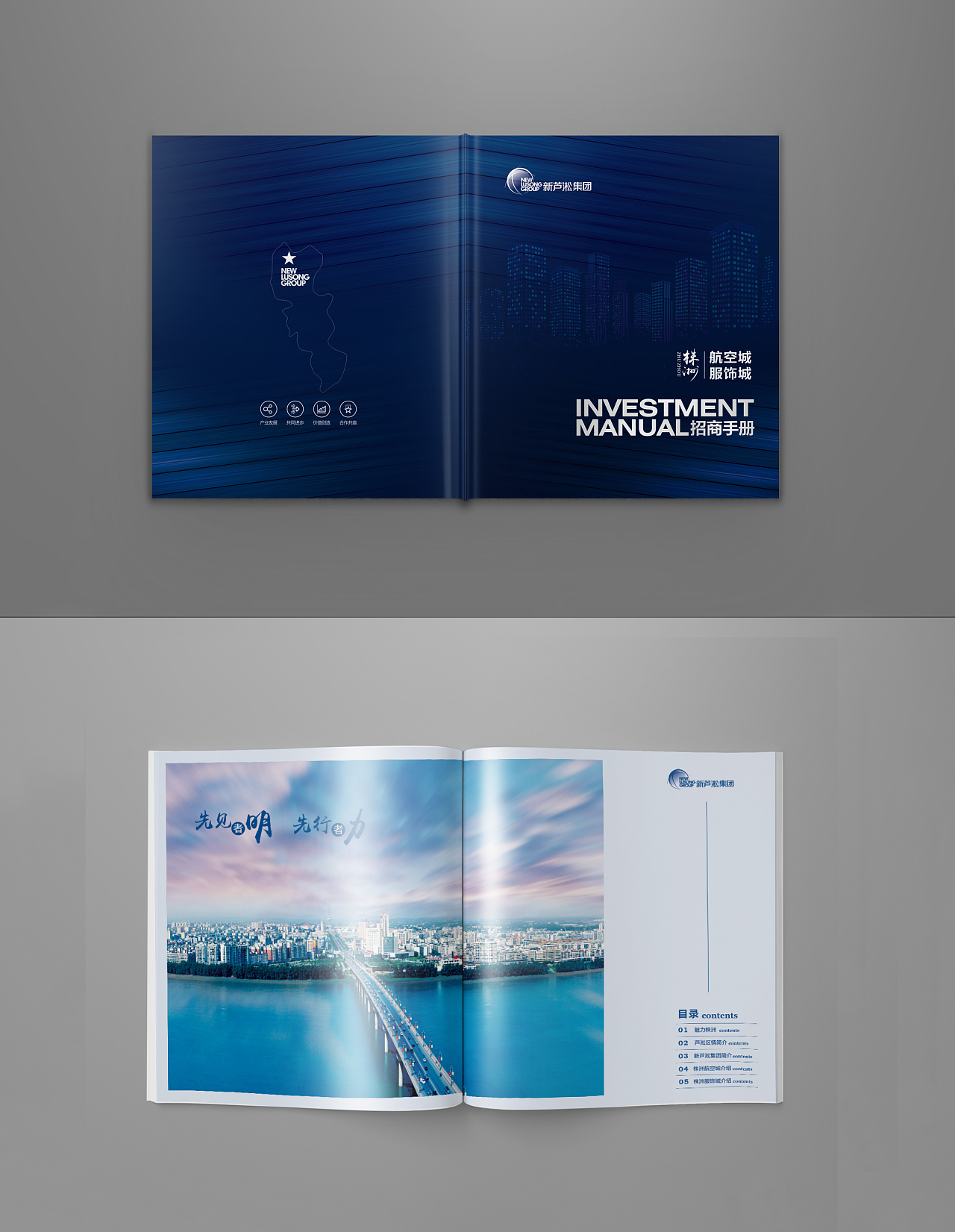 政府招商引资画册