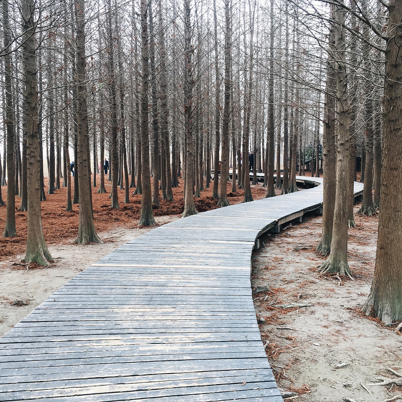 近几年一些旅行皂片(上)