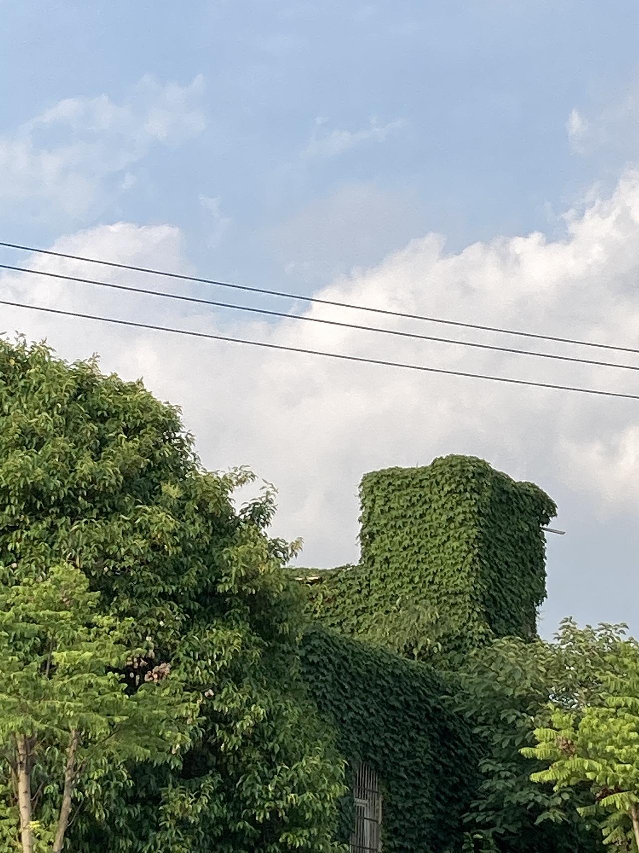 绵阳市安州区湿地公园