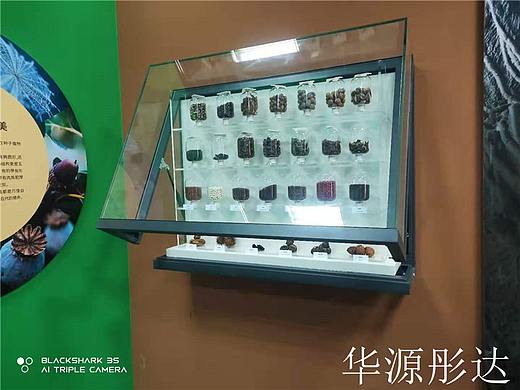 呼和浩特自然馆展柜