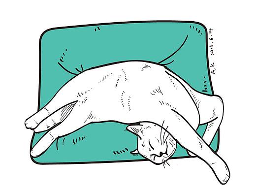 猫（个人主页-ZMjg0MTYyMDQ=） - 创作习作 - 站酷设计师akKay原创素材 - 站酷ZCOOL