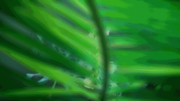 光の異彩(PROMO OF NOVA 2 SMARTPHONE)(图ZODU3Mjc3MzI=) - Motion Graphic - 站酷设计师Rimble原创素材 - 站酷ZCOOL