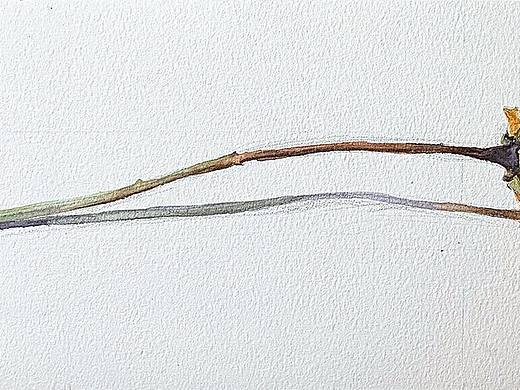 枯荣