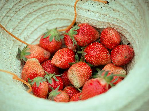 芦山彩虹谷学院(一)