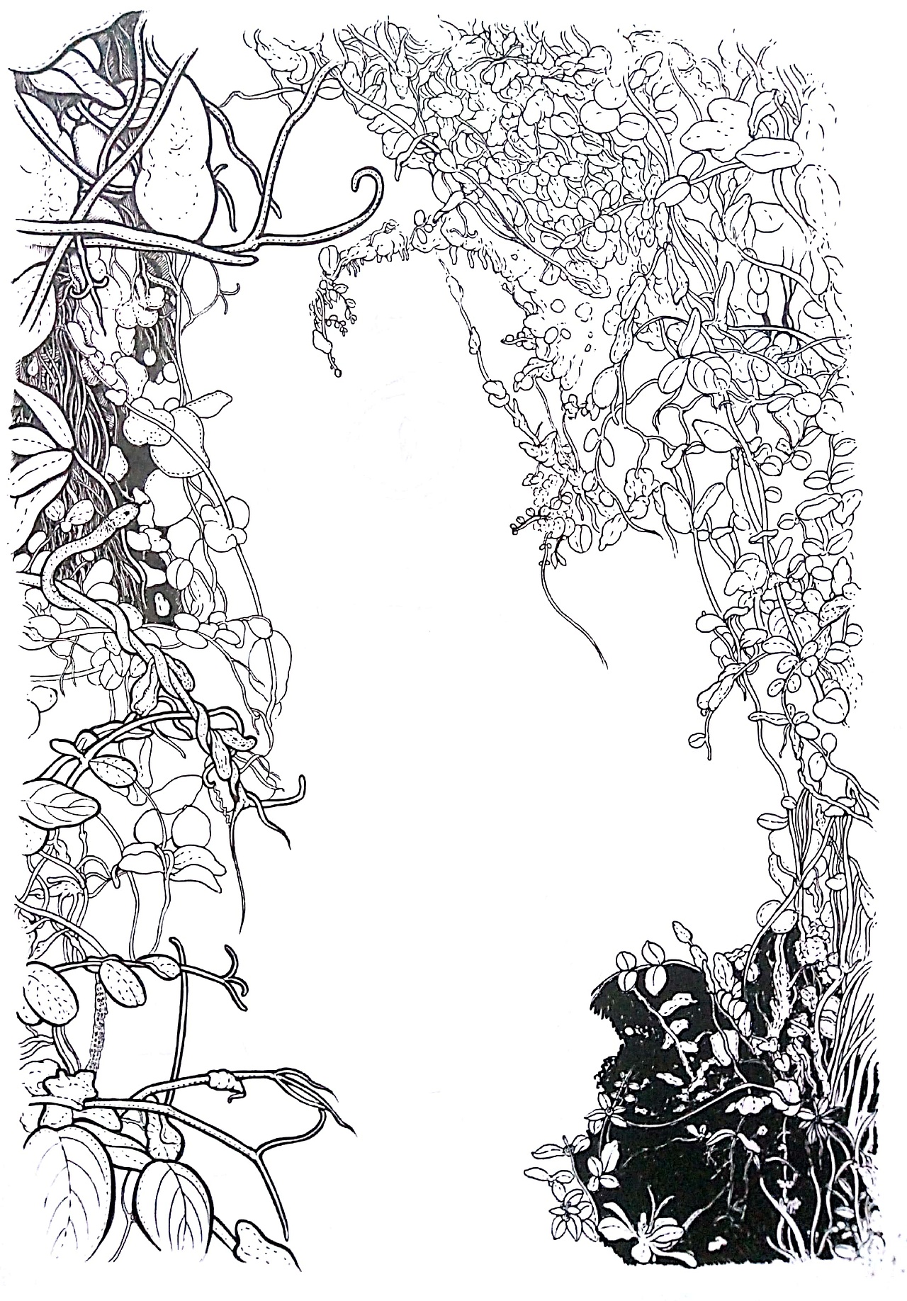 龙之眼（图ZODkxOTA1NTI=） - 绘画 - 站酷设计师绿野仙踪WYT原创素材 - 站酷ZCOOL