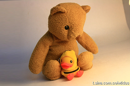 Bear and Duck【写实图标练习】（图ZMzUxNDA4MA==） - 图标 - 站酷设计师Amoo阿毛原创素材 - 站酷ZCOOL