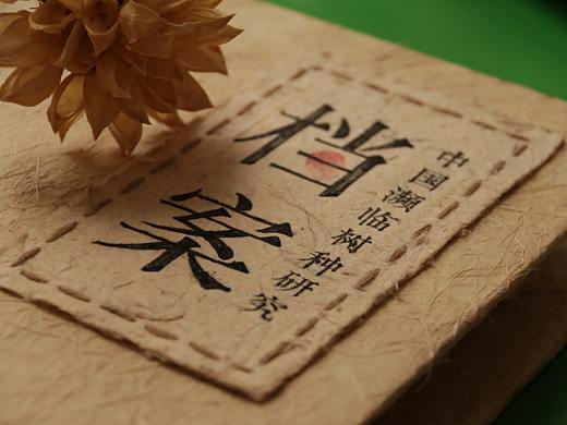 中国濒临树种档案 ｜手工制作书籍