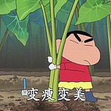 咯哈i的头像