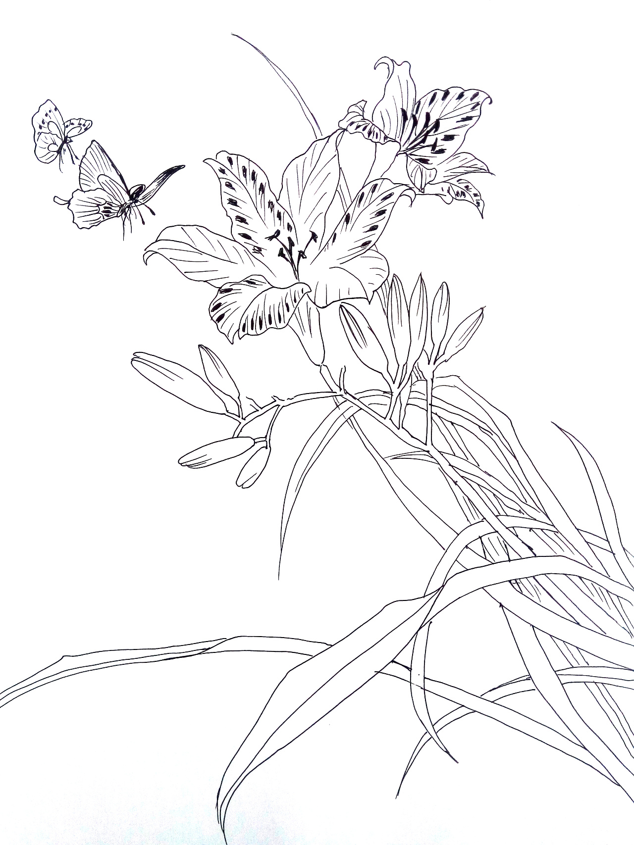 白描- 原创作品 - 站酷(zcool)