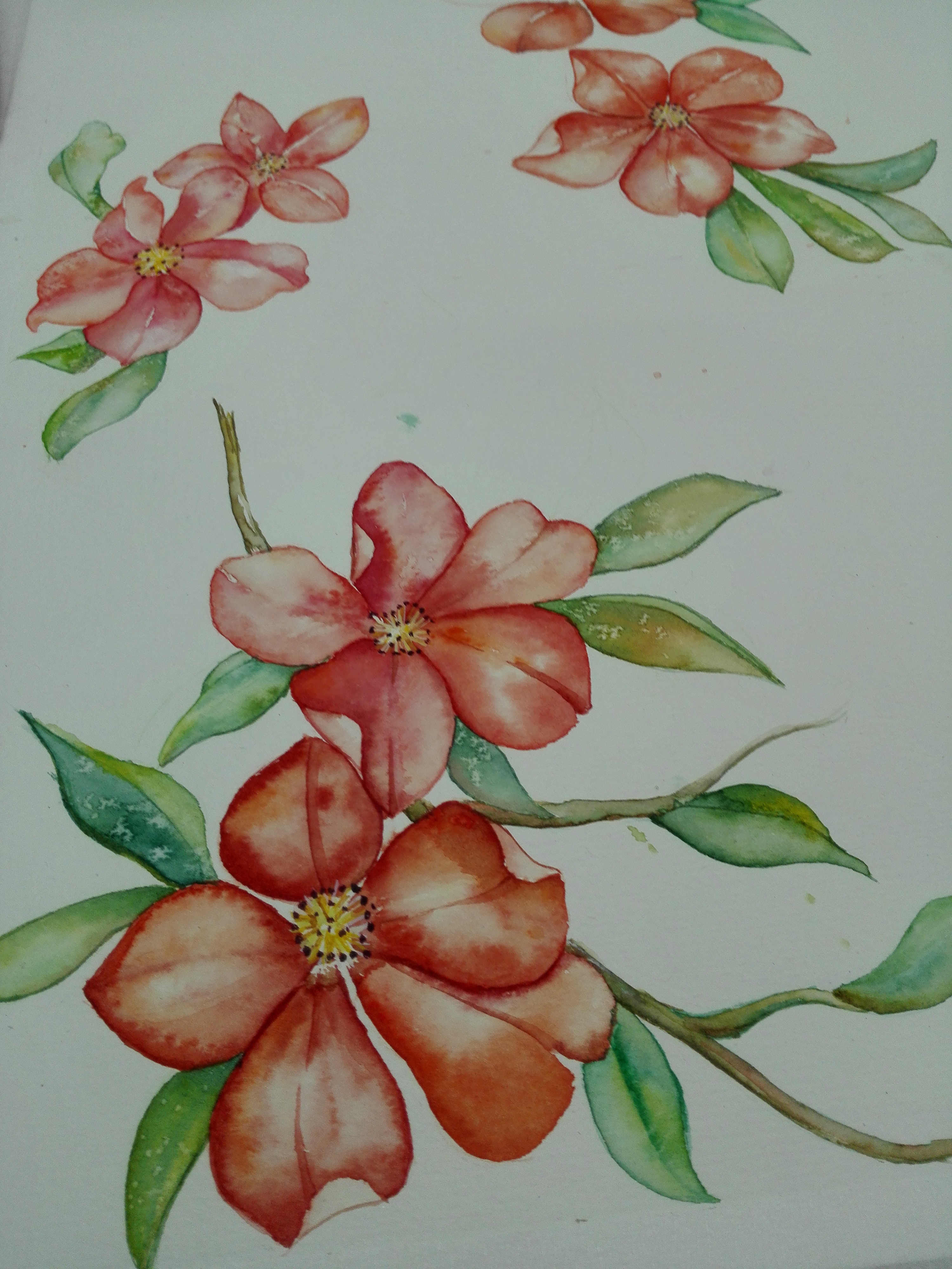 杜鹃花开～|纯艺术|水彩|一画一世 - 原创作品 - 站酷 (zcool)