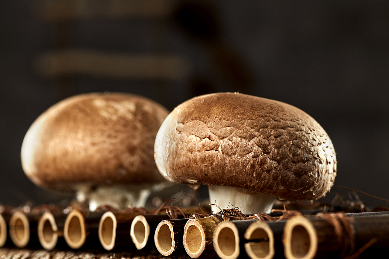蘑菇 食材