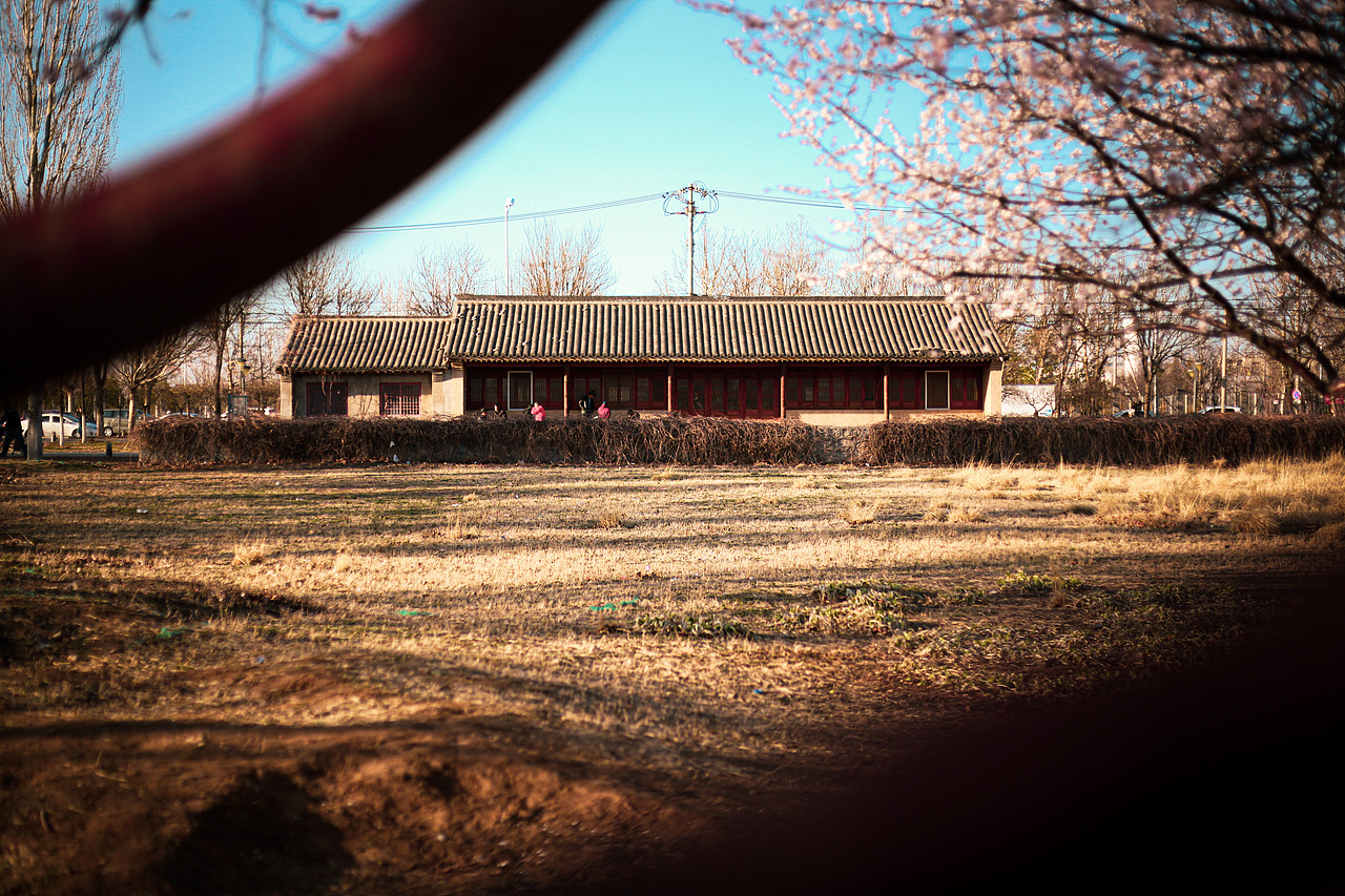 阳光彩虹小白马