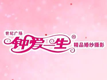 2015年·视频包装