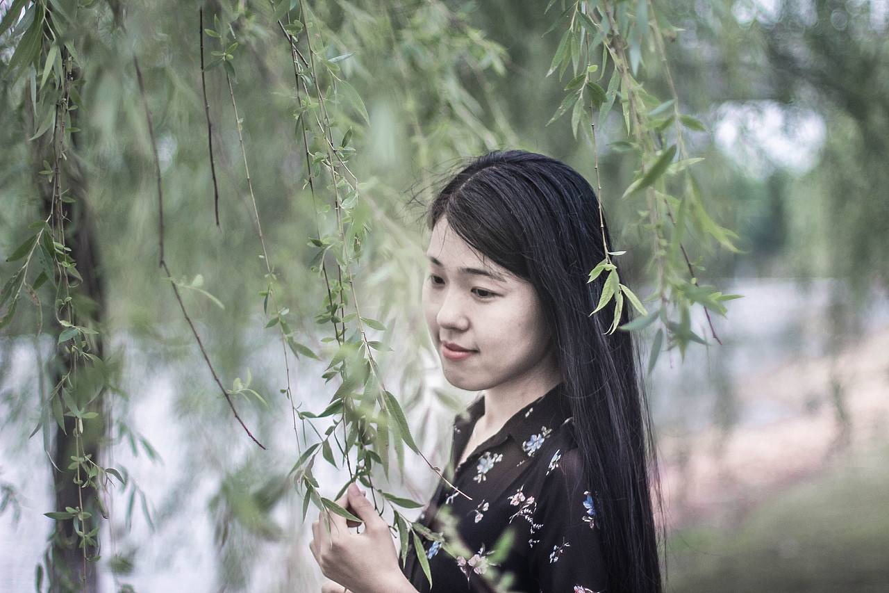 -----------------分格线---------------