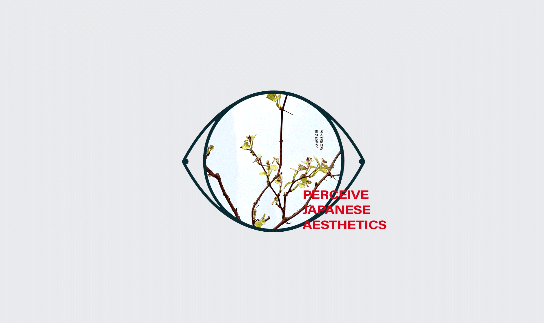 「Sensing察覺」日式美学品牌视觉更新