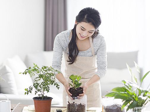 有家绿植（个人主页-ZMzc4NDE0Mjg=） - 电商 - 站酷设计师叶祎甜原创素材 - 站酷ZCOOL