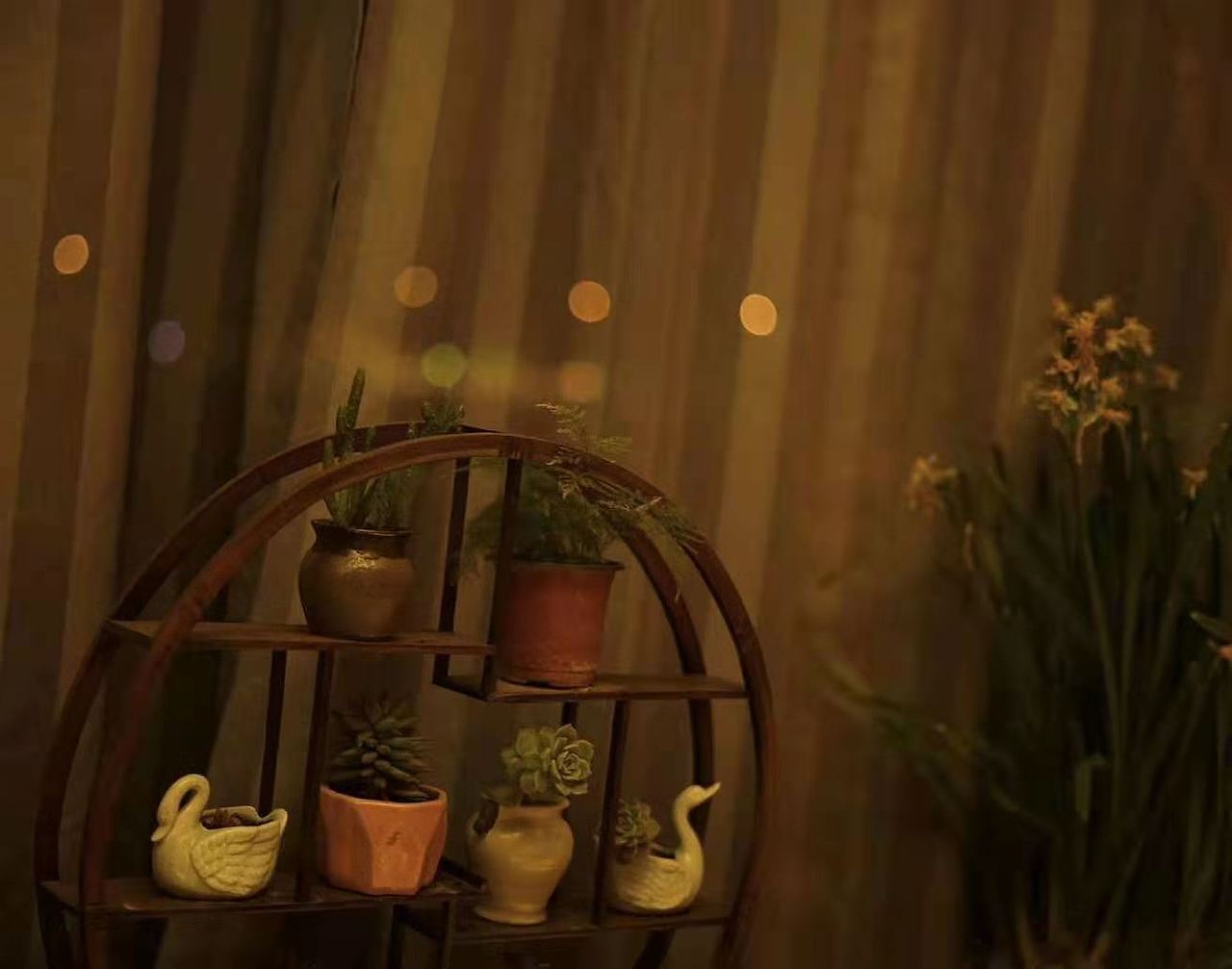 济南大明湖夜景