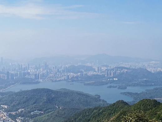 一段旅程 {深圳小梧桐}
