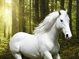 #AI创作实验室#森林，阳光洒落下，超写实，白马，可爱