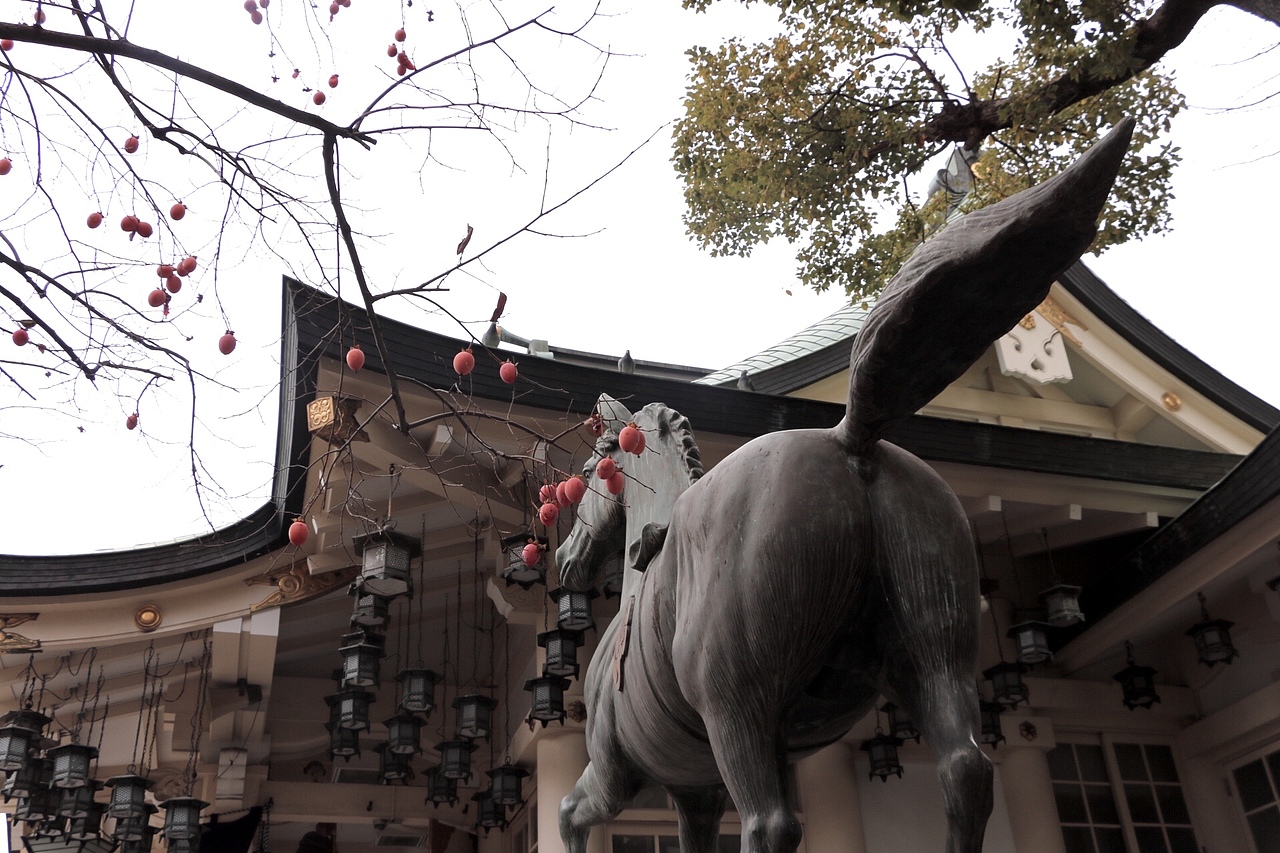 日本之行（图ZMTkzNTc4MTcy） - 风光摄影 - 站酷设计师郑克旭KC原创素材 - 站酷ZCOOL