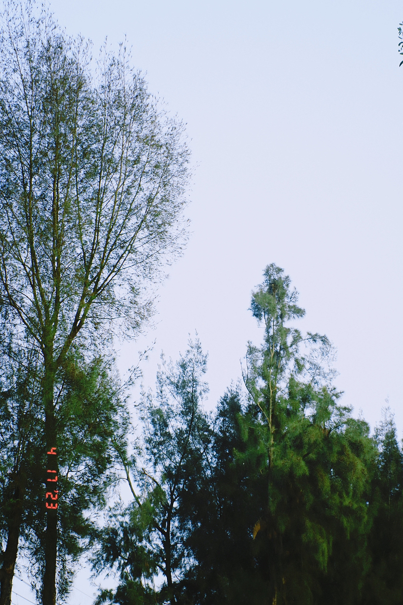 浪费的是，今天的风和我都漫无目的。