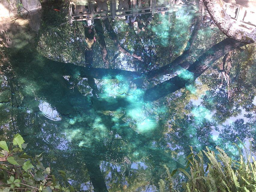 云南照片——手机拍摄