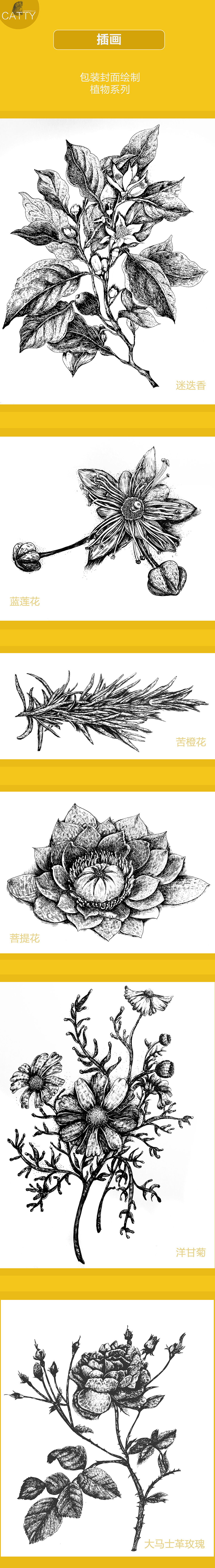 2014-2016 作品集（图ZNTMwNzUzNTI=） - 其他 - 站酷设计师liuyiyi520原创素材 - 站酷ZCOOL