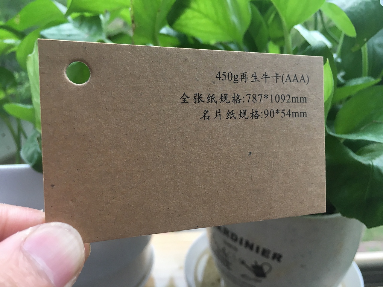 2019款特种纸艺术纸实物展示样册