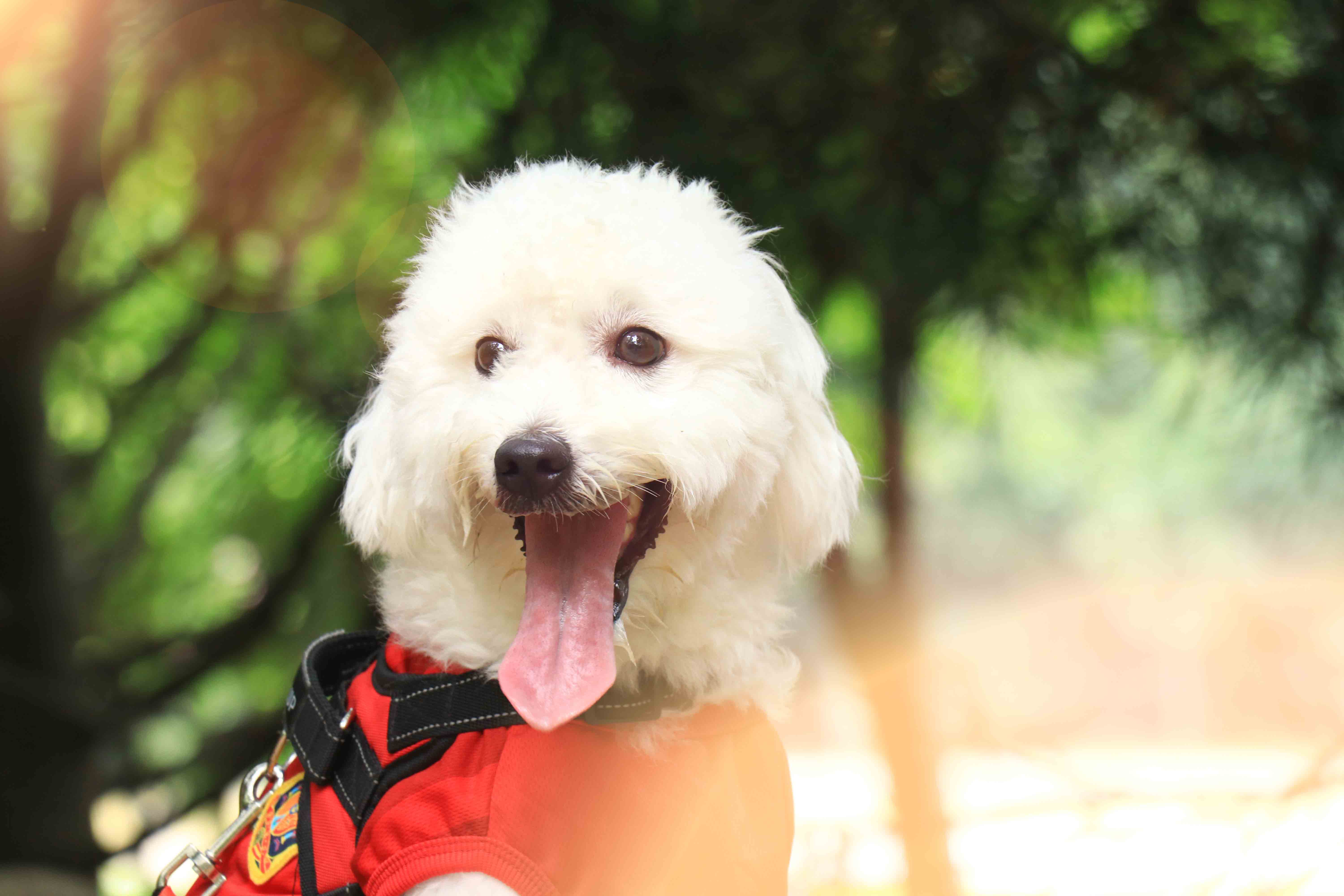 wendy与拉先森的个人主页（背景预览） - 主页背景设置 - 站酷设计师wendy与拉先森原创素材 - 站酷ZCOOL