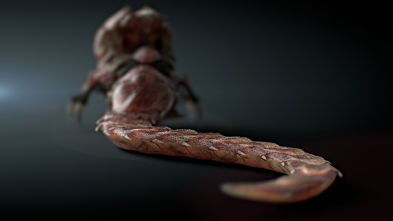 来自星星的蝌蚪