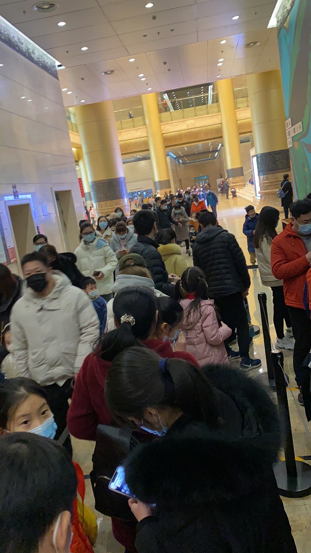 《虫.逢》世界珍稀昆虫标本展——落地展现总结(图ZMjQxOTMyMzY4) - 家装设计 - 站酷设计师画画的空间设计师原创素材 - 站酷ZCOOL