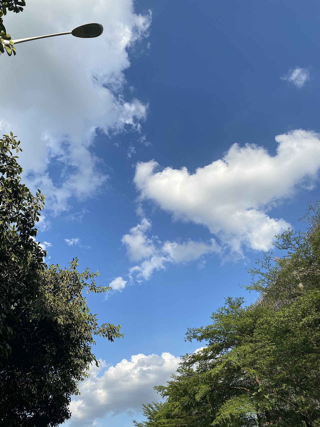 大学城南亭轮渡码头（图ZMjY1NjY0Njcy） - 风光摄影 - 站酷设计师小让让原创素材 - 站酷ZCOOL