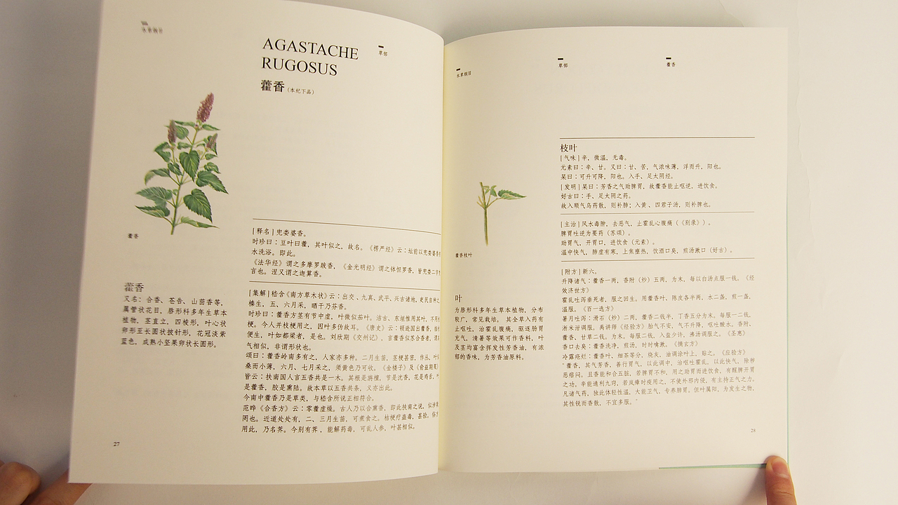 《本草纲目》书籍再设计（图ZNTg4MDI3Njg=） - 书籍/画册 - 站酷设计师丢了个丢666原创素材 - 站酷ZCOOL