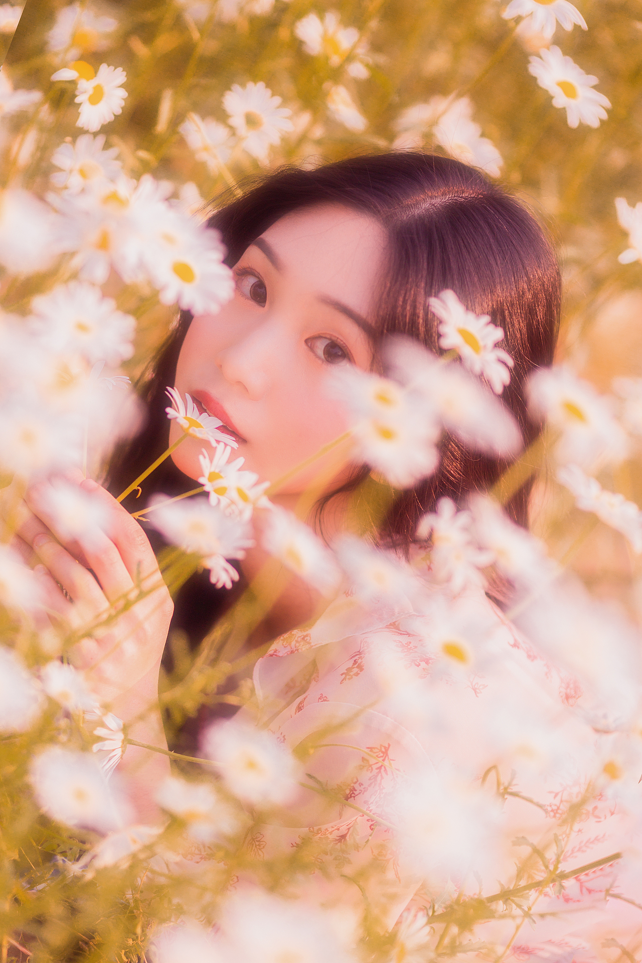 你说霞染天光,风月琳琅