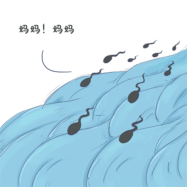 一天到晚游泳的鱼