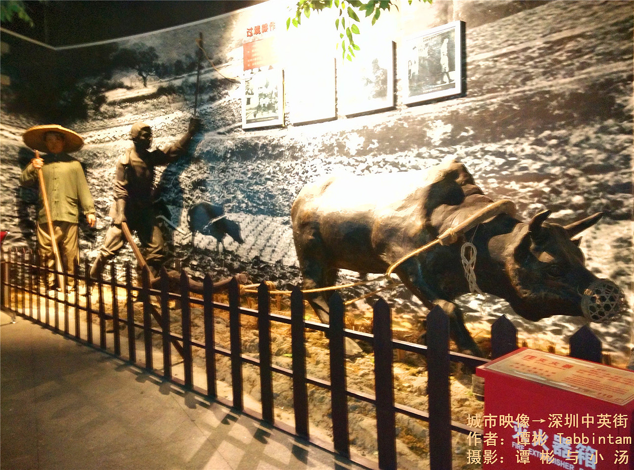 深圳中英街之旅