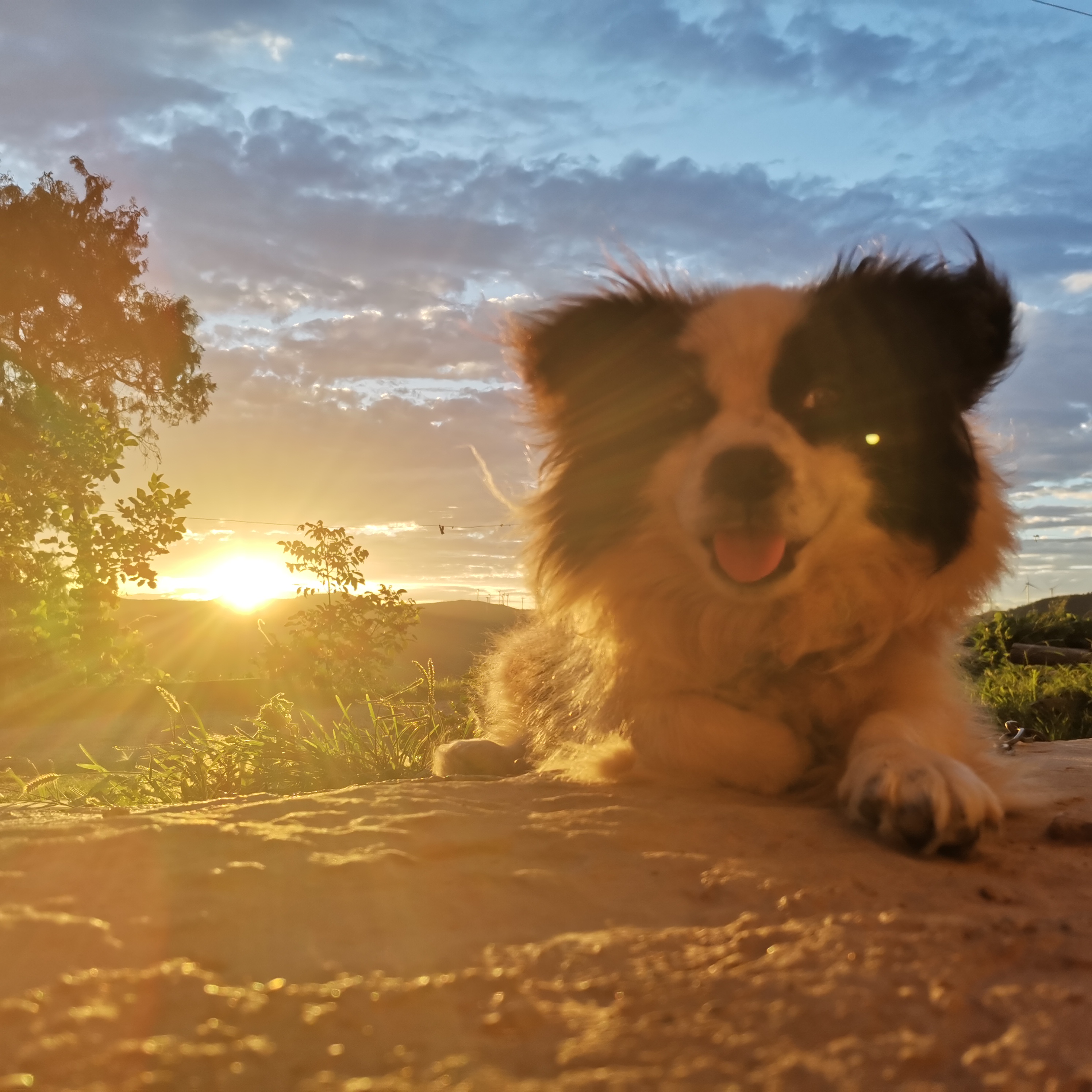 凌夸的個人主頁（封面預(yù)覽） - 主頁封面設(shè)置 - 站酷設(shè)計師凌夸原創(chuàng)素材 - 站酷ZCOOL