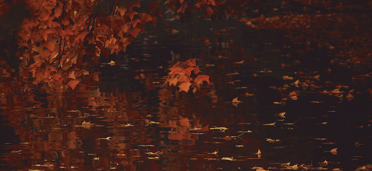 天平山 | 秋已深 冬将至