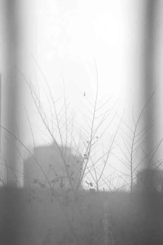 2015的行走-—风景 小品