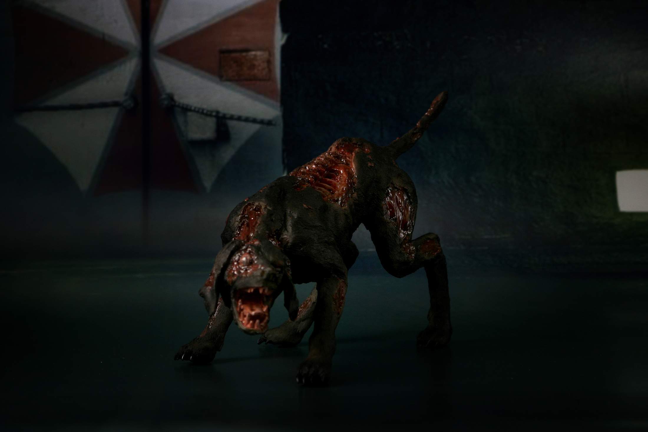 眉间白火tan开箱 拙形社 no.0171 1/6 不可动 丧尸狗