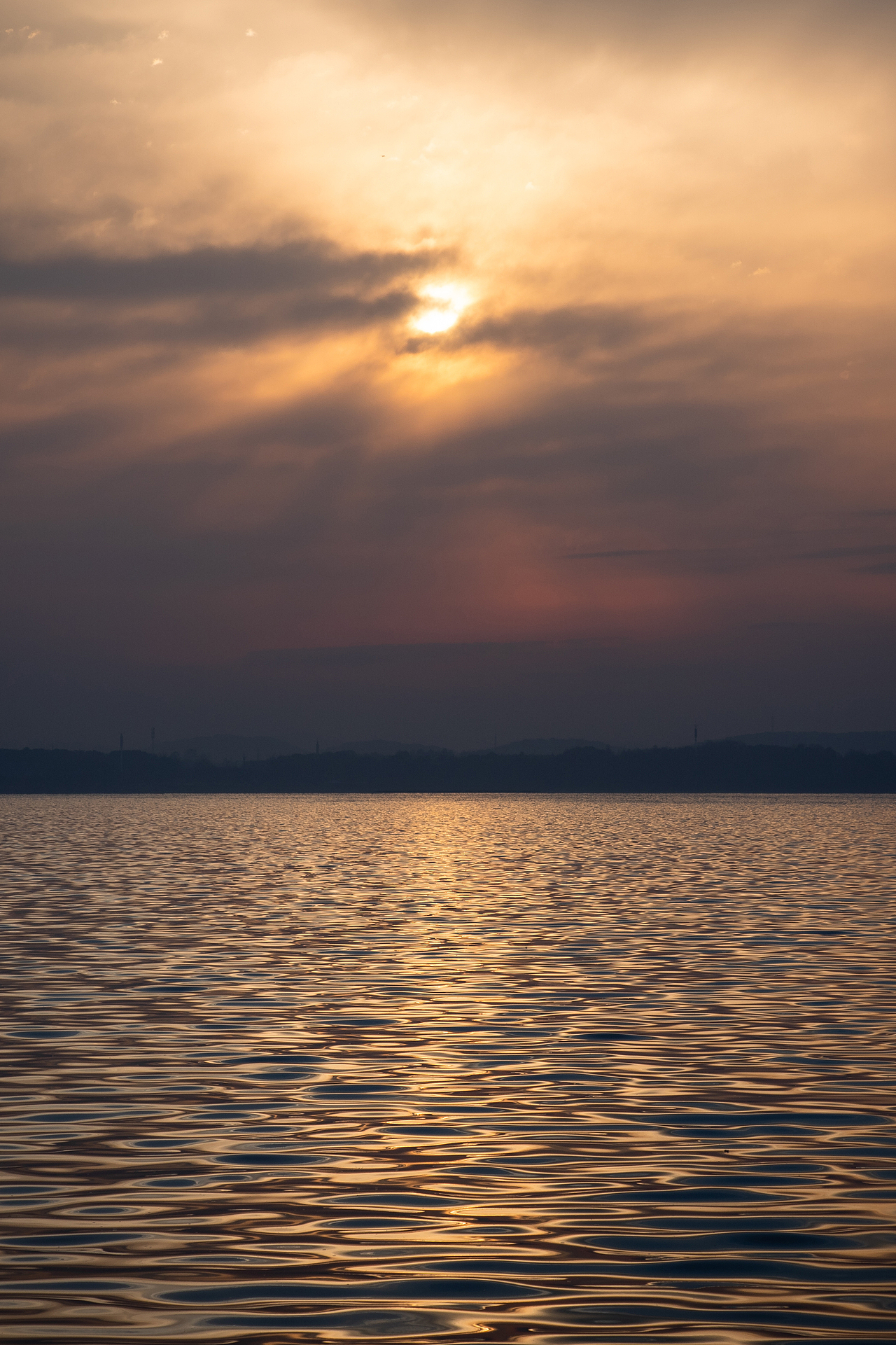 二月底的武汉,看风也温柔