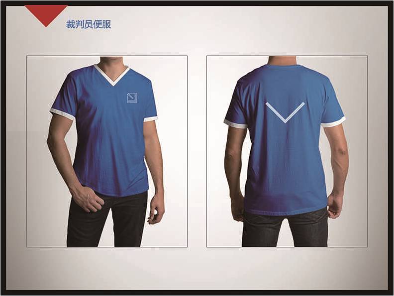 VI识别系统(2016比赛作品)