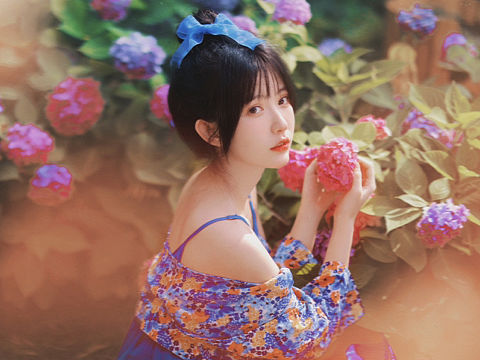 绣球花写真