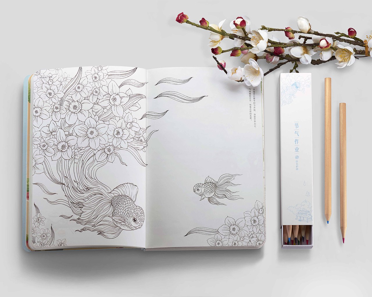 有礼有节《节气作业》手帐