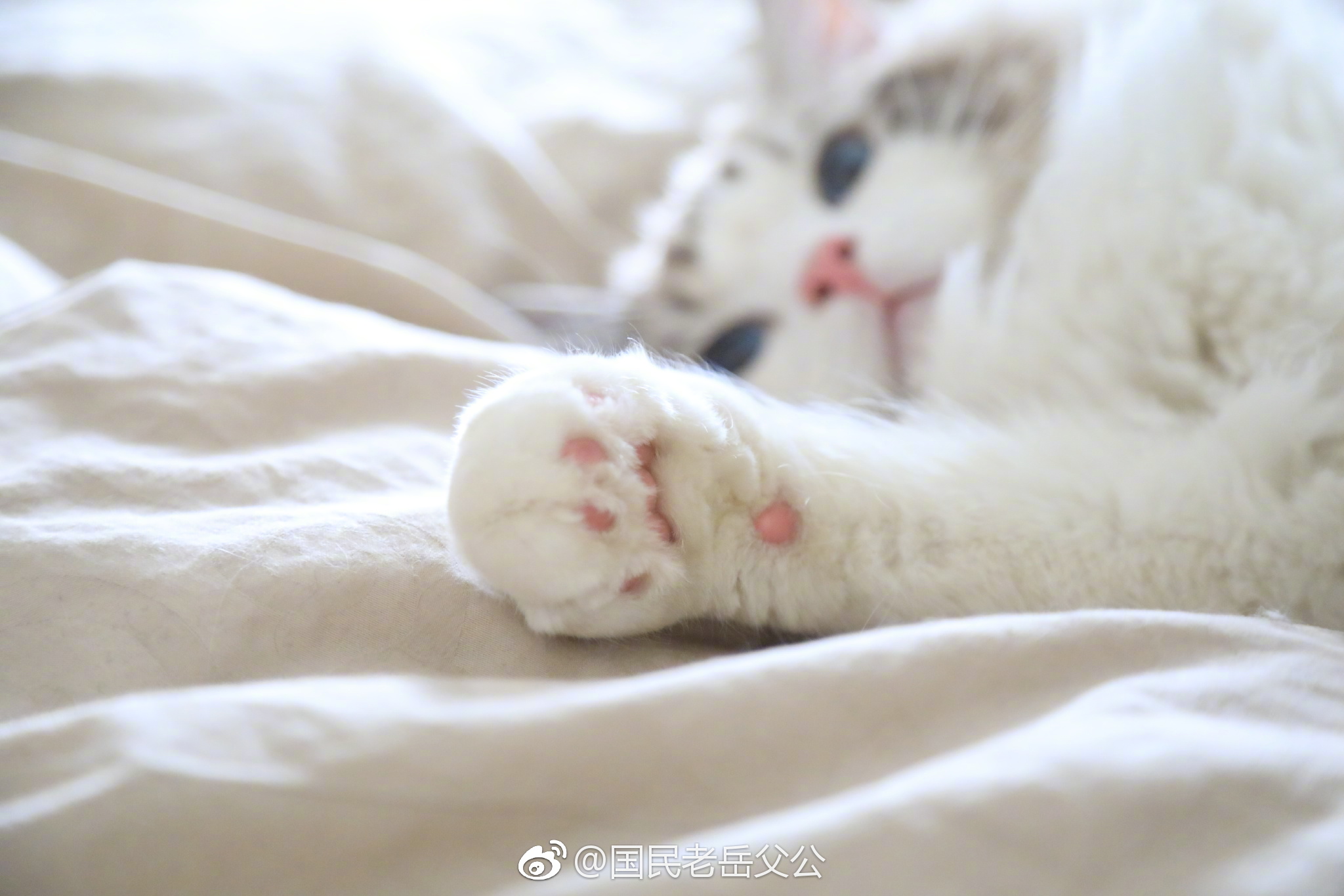 瓜瓜不呱的个人主页（封面预览） - 主页封面设置 - 站酷设计师瓜瓜不呱原创素材 - 站酷ZCOOL